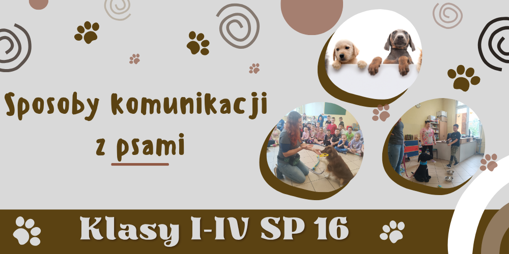 Sposoby komunikacji z psami w SP 16